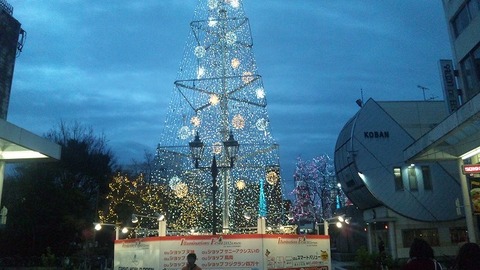 １２月３０日　夜の高知 (2)