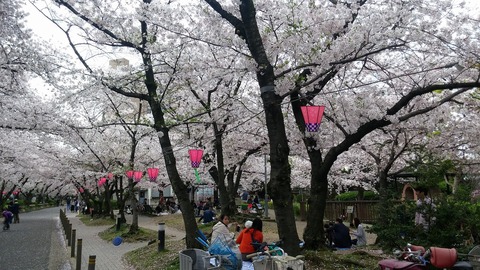 20170409_123124