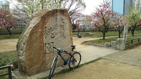 ３月２９日　大阪城まで (15)