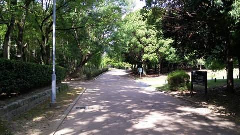 20170722_082856
