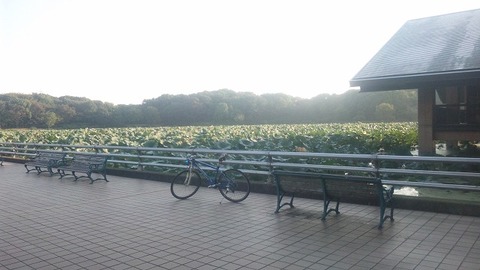 １０月１６日 (3)