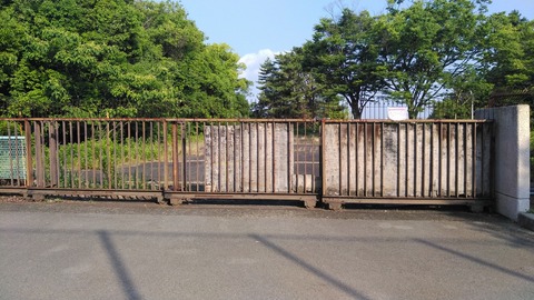 KIMG8511