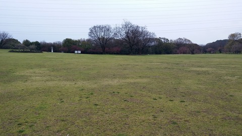 20170401_075949