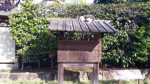 ４月２２日 (1)