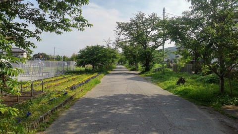 KIMG1260