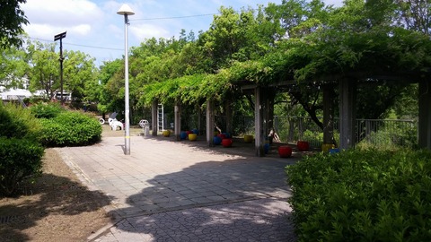 20170603_091232