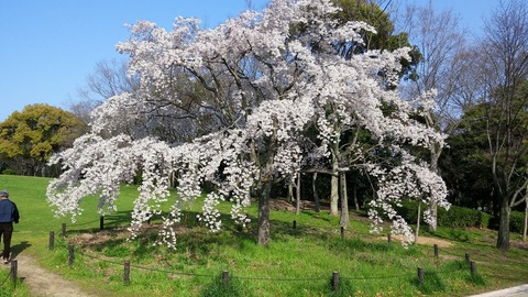 20150331_081403