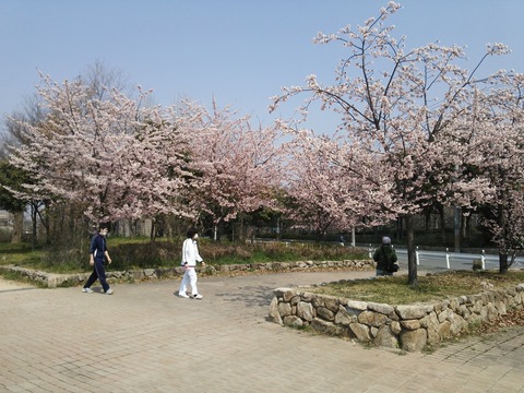 3月２５日 (3)