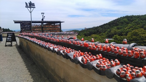KIMG8280 (1)