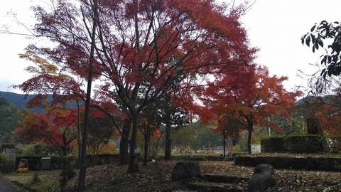 KIMG0918