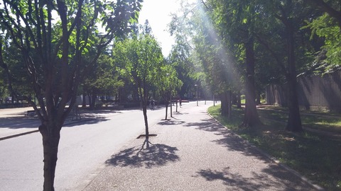 20170604_081418