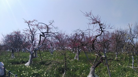 KIMG2009