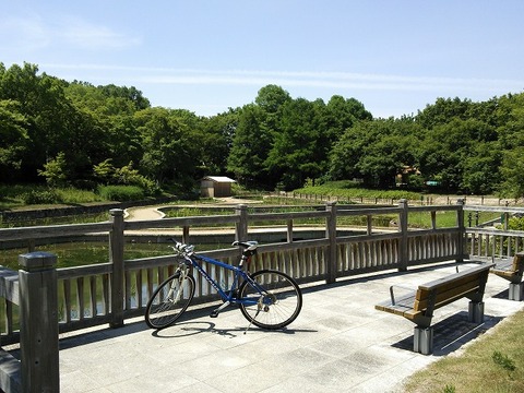 ６月４日　大泉緑地