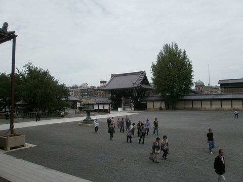 P6030020