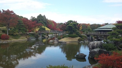 １１月１８日 (11)
