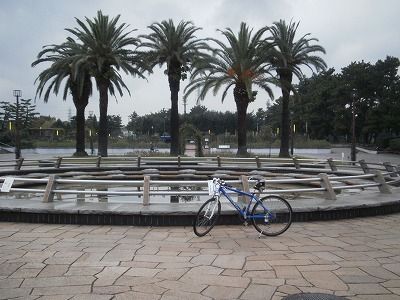 PB110006
