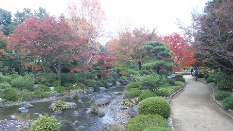 １１月１８日 (16)