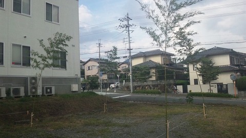 PAP_0003