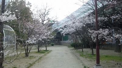 SH3I0317