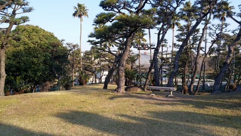 20170404_070033