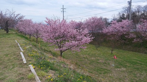 20170406_150719