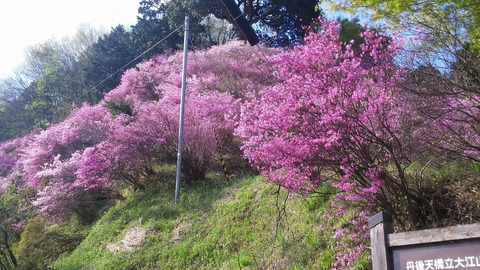 20170418_153822