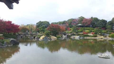 １１月１８日 (1)