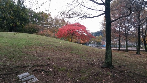 20171111_082726