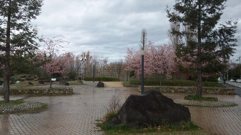 ４月３日 (8)