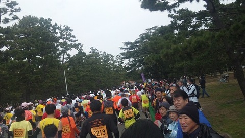 Ｈ２５　堺マラソン (15)