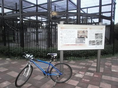 PB110008