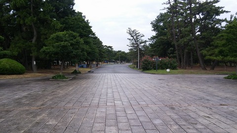 20170725_063942