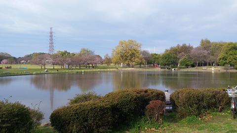 20170406_073038