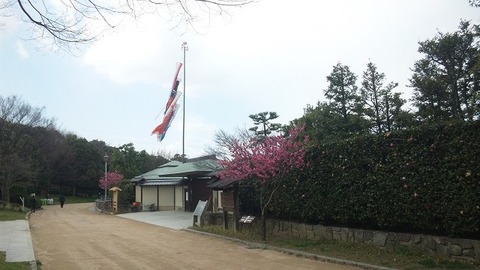 ４月８日 (17)