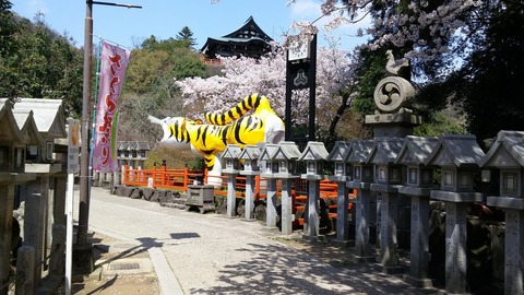 20170413_124357