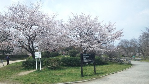 ４月６日 (15)