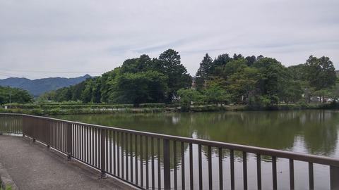 20170606_124826_HDR