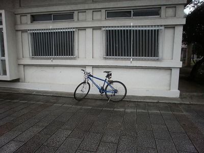 PB110005