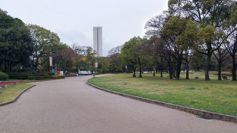 20170401_075418_HDR