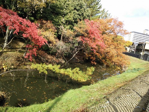 １１月末 (1)