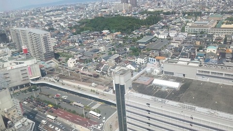 8月3日 (2)