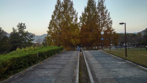 KIMG2958