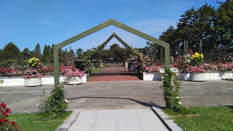 KIMG8187