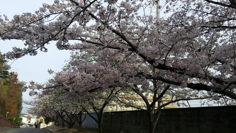 20170406_072114