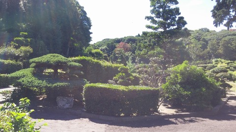 20170803_094433