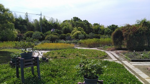 KIMG8631