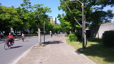 20170604_082213