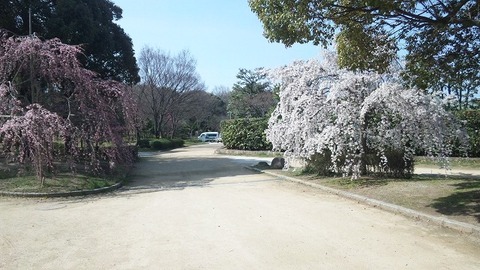 ４月２日 (20)