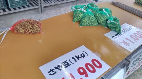 KIMG9966