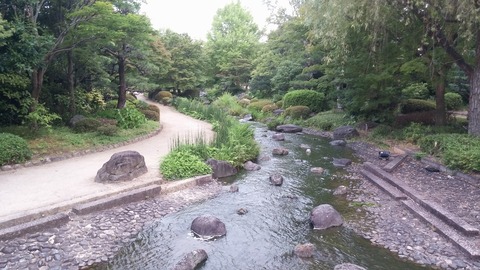20170716_184655